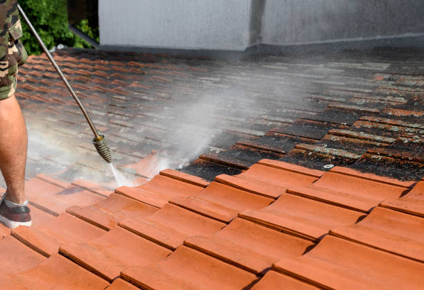 Deck Cleaning Services in Greenup, IL
