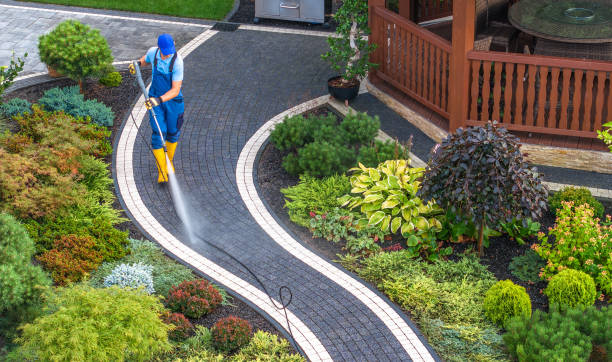 Best Pressure Washing Patio  in Greenup, IL