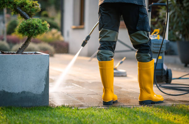 Best Affordable Pressure Washing  in Greenup, IL
